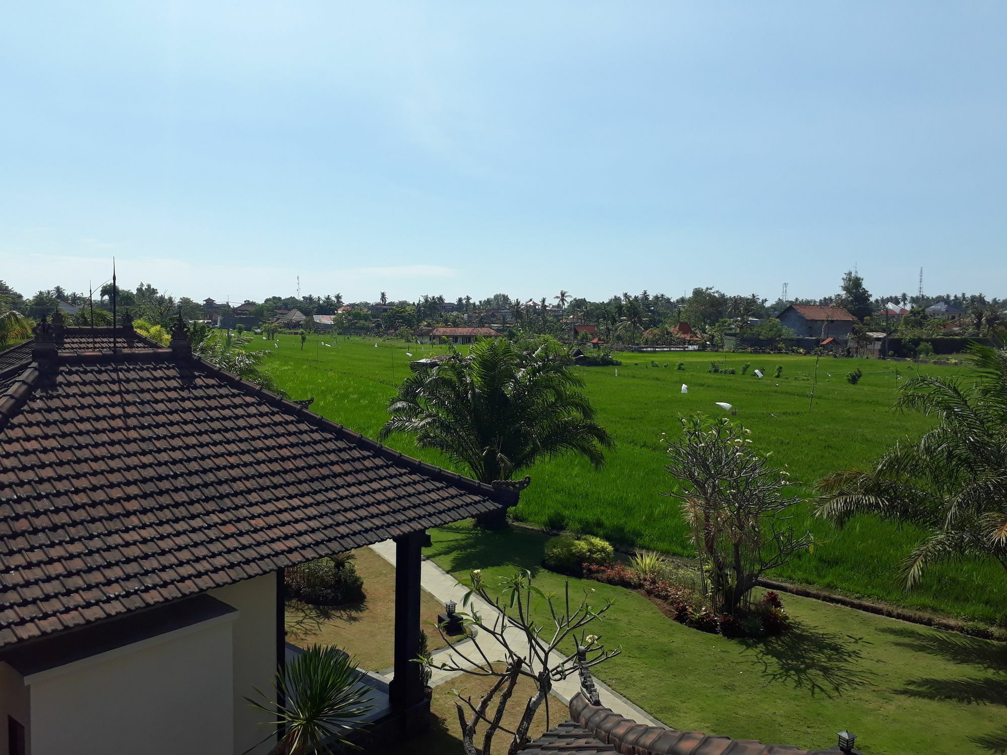 Pandawa Village Ловина Экстерьер фото